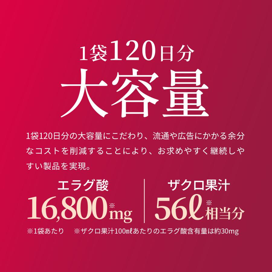 エラグ酸 16800mg (120日分) 1日1粒にエラグ酸140mg えらぐ酸 サプリ