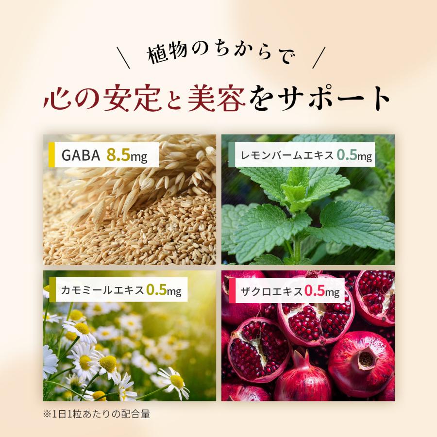 大豆イソフラボン (120日分) イソフラボンアグリコン30mg/日