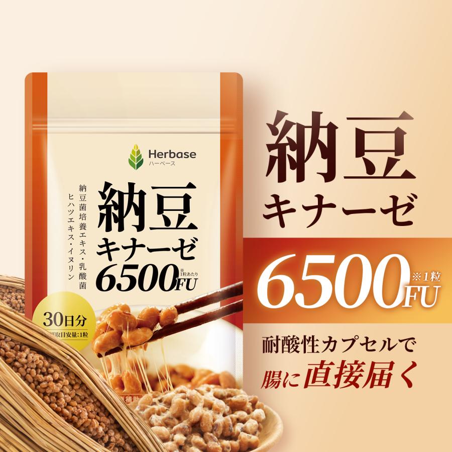 強力　納豆キナーゼ　１５０日分 豊かな豆力 強力納豆キナーゼ 15000FU 100粒 50日分 : Dream in Tokyo