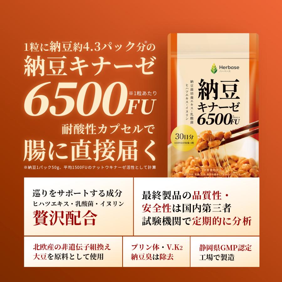 ナットウキナーゼ 6500FU/日 (30日分) サプリ 納豆キナーゼ 納豆サプリ