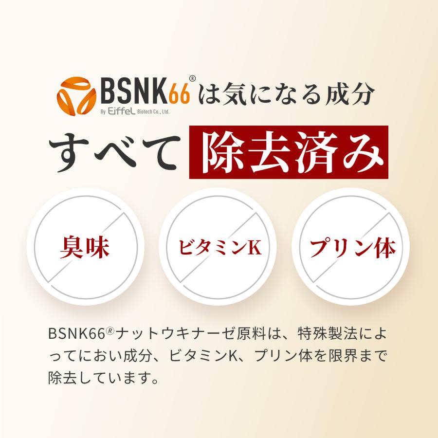 ナットウキナーゼ 6500FU/日 (30日分) サプリ 納豆キナーゼ 納豆サプリ