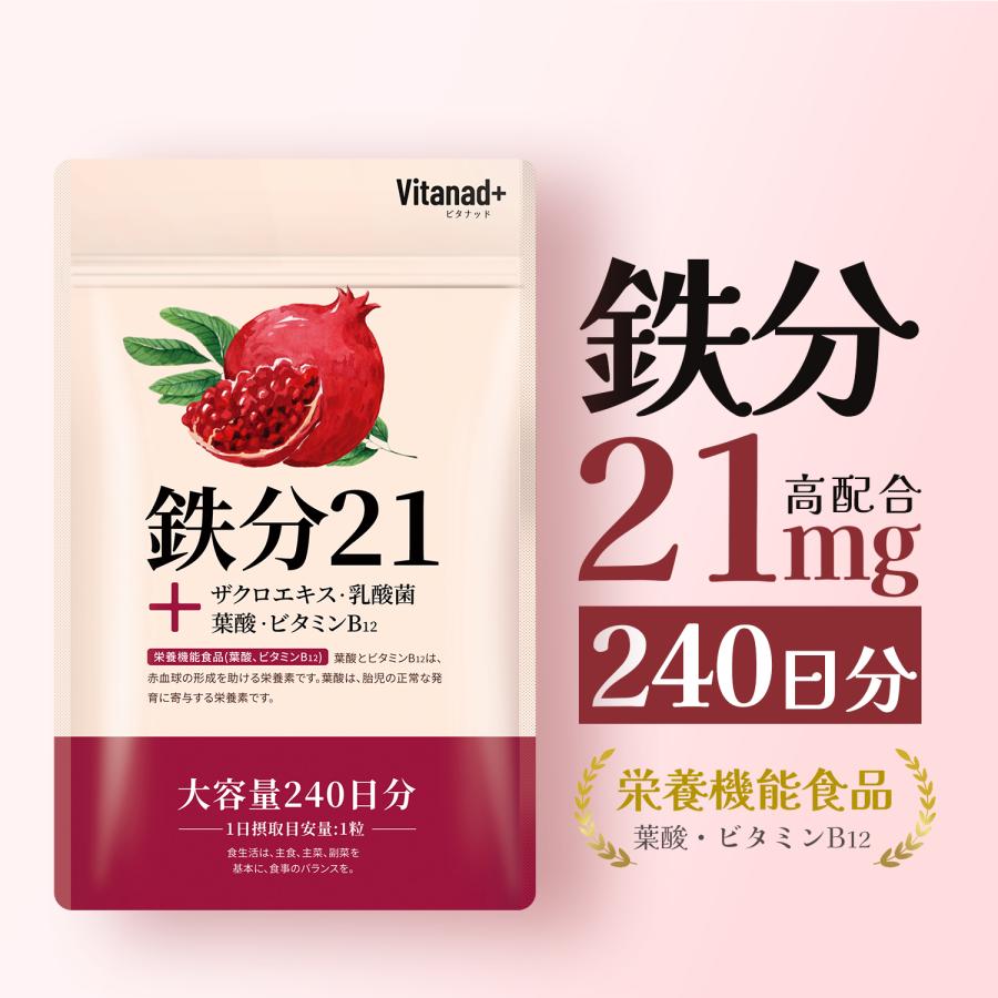 鉄分 21mg (240日分) 鉄サプリ 葉酸 鉄分不足 鉄分補給 鉄 持続