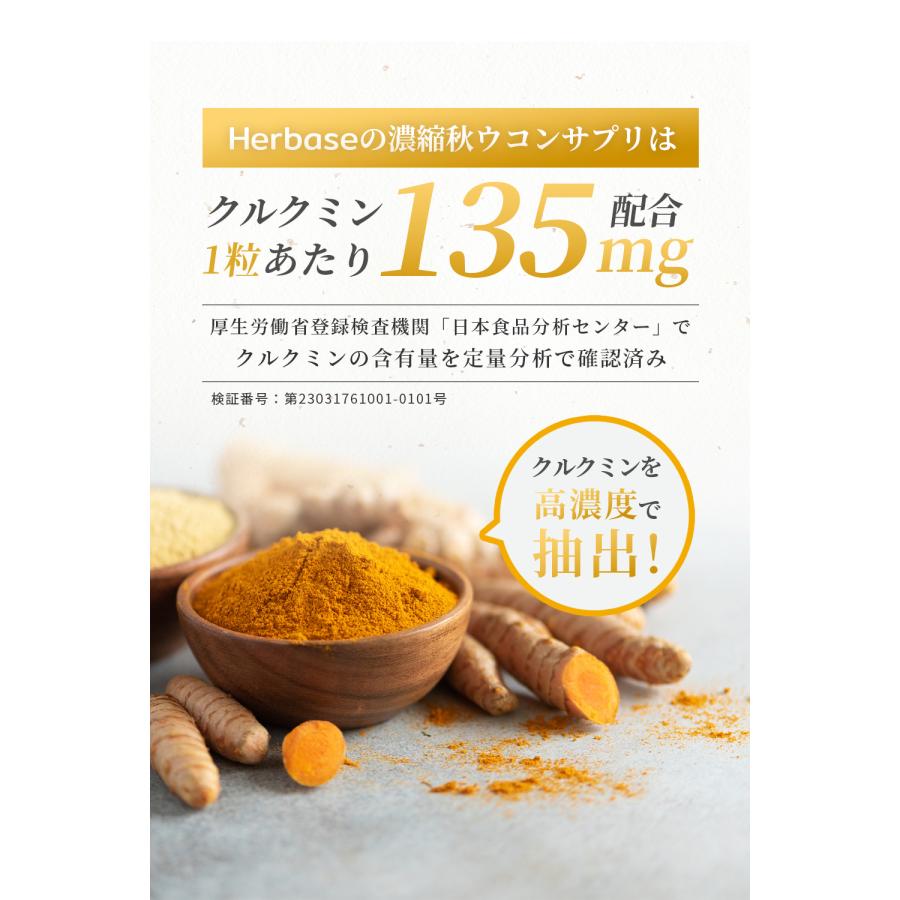 ウコン サプリ クルクミン 12150mg配合 (90日分) 秋ウコン 錠剤