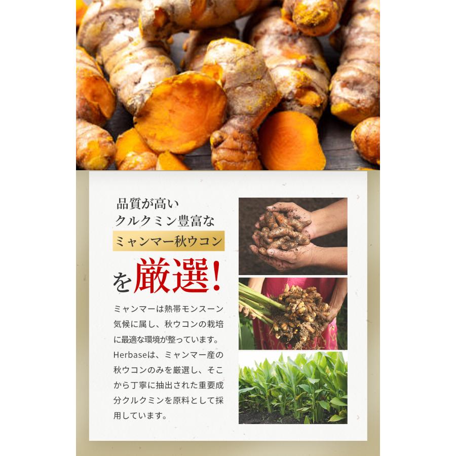 ウコン サプリ クルクミン 12150mg配合 (90日分) 秋ウコン 錠剤