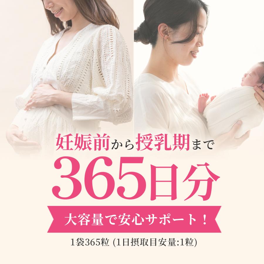 葉酸 鉄分 365日分 サプリ 妊活 妊婦 妊娠 授乳 (1粒に 480μg + 鉄
