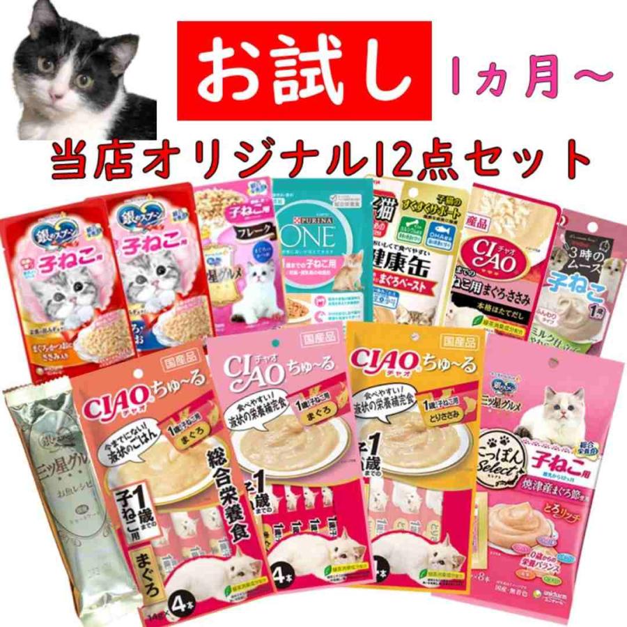 キャットフード 子猫 お試し 12点 セット フード おやつ 猫 パウチ 