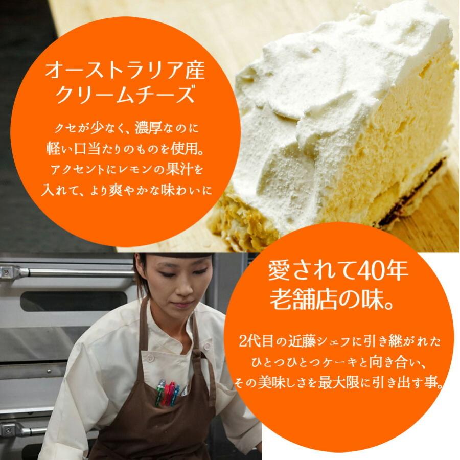 ホワイトドーム チーズケーキ B ツボナキッチュ 通販 Yahoo ショッピング