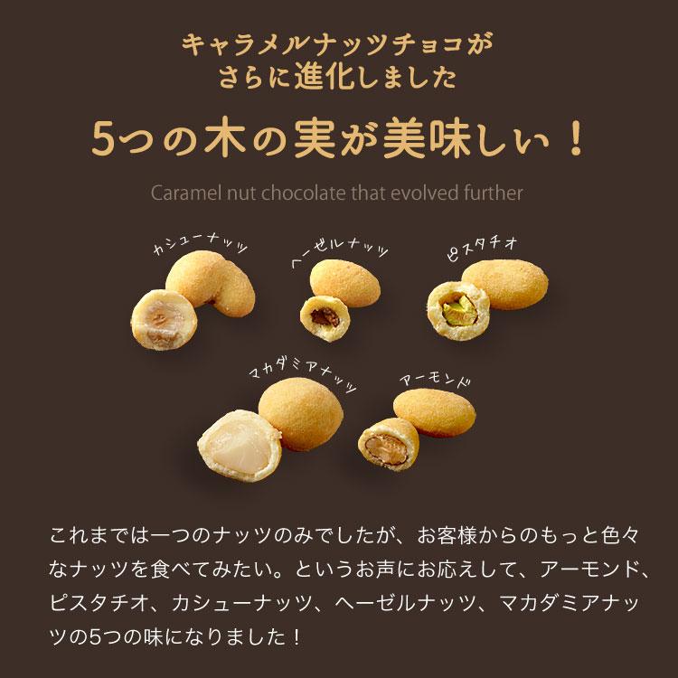 5つの果実のチョコレート 500g キャラメルナッツチョコミックス アーモンド、ピスタチオ、カシューナッツ、マカダミア、ヘーゼルナッツ|tsubona|02