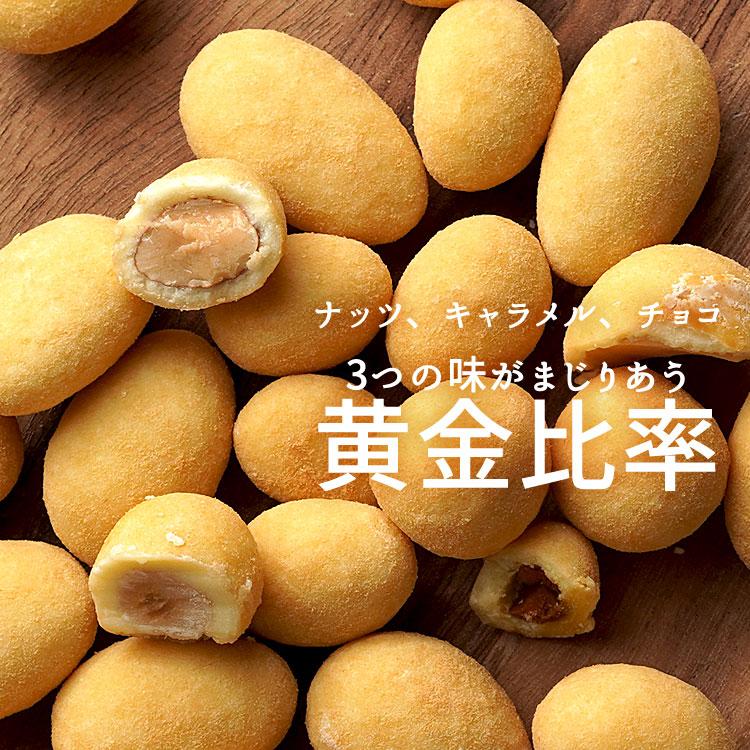 5つの果実のチョコレート 500g キャラメルナッツチョコミックス アーモンド、ピスタチオ、カシューナッツ、マカダミア、ヘーゼルナッツ|tsubona|03