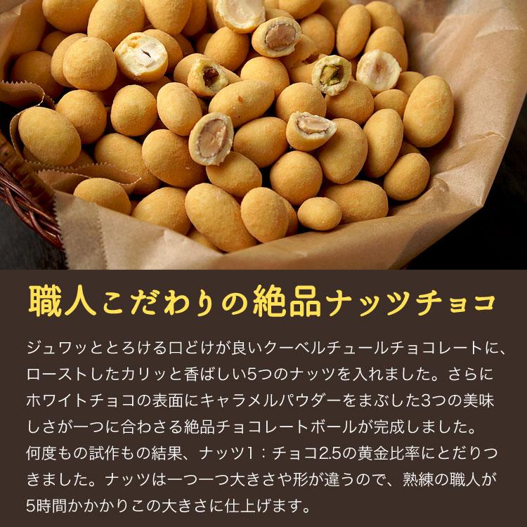 5つの果実のチョコレート 500g キャラメルナッツチョコミックス アーモンド、ピスタチオ、カシューナッツ、マカダミア、ヘーゼルナッツ|tsubona|04