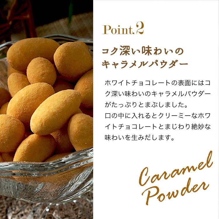 5つの果実のチョコレート 500g キャラメルナッツチョコミックス アーモンド、ピスタチオ、カシューナッツ、マカダミア、ヘーゼルナッツ|tsubona|06