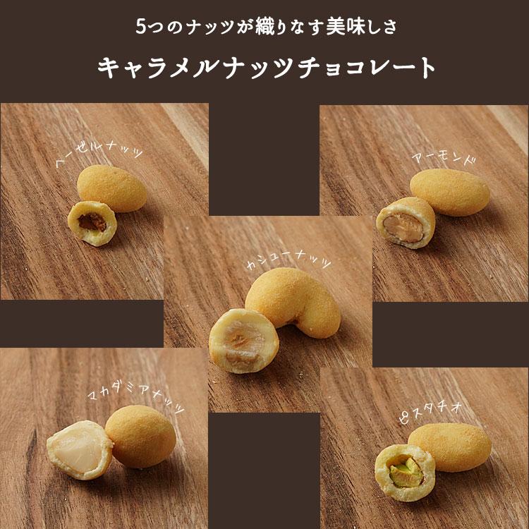 5つの果実のチョコレート 500g キャラメルナッツチョコミックス アーモンド、ピスタチオ、カシューナッツ、マカダミア、ヘーゼルナッツ|tsubona|08