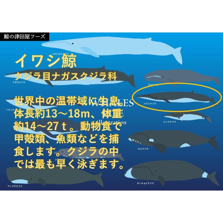 大特価 鯨ベーコン ブロック 350g くじら クジラ 畝須 うねす ウネス Aynaelda Com