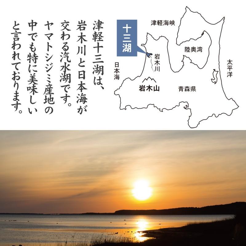 しじみ シジミ 蜆 十三湖 津軽 青森 冷凍 十三湖産冷凍しじみ 中粒 800g 0g 4袋 津軽 小野や 通販 Yahoo ショッピング