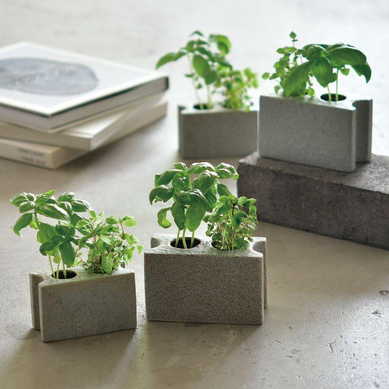 PLANTS BLOCK プランツブロック / ミントandバジル 【植物栽培キット