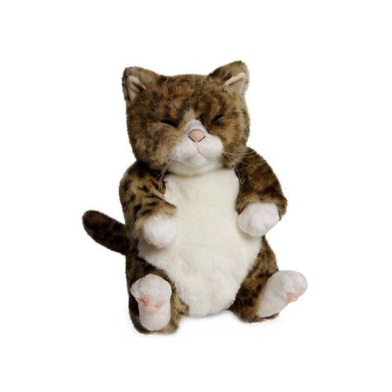 ちびピン カドリー Cuddly 猫のぬいぐるみ ぬいぐるみ オンラインショップ Themtransit Com