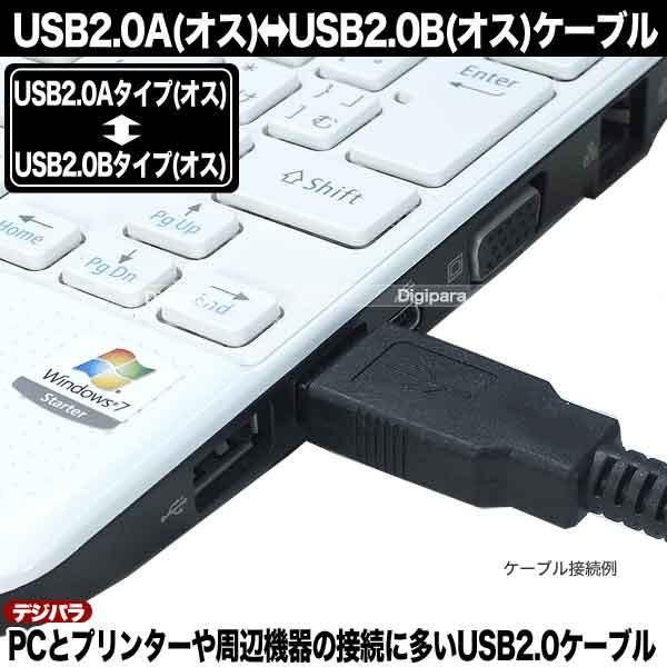 FIBBR Alpha USB A-B 光USBケーブル 1m FIBBR Alpha USB Audio Cable Review - HomeTheaterHifi.com