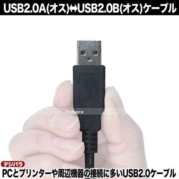 USBケーブル 1.8m USB2.0A (オス)-USB2.0B (オス)  プリンター ハードディスク 周辺機器接続 COMON 2AB-18｜tsuhan-express｜11