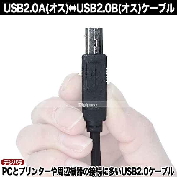 USBケーブル 1.8m USB2.0A (オス)-USB2.0B (オス)  プリンター ハードディスク 周辺機器接続 COMON 2AB-18｜tsuhan-express｜12