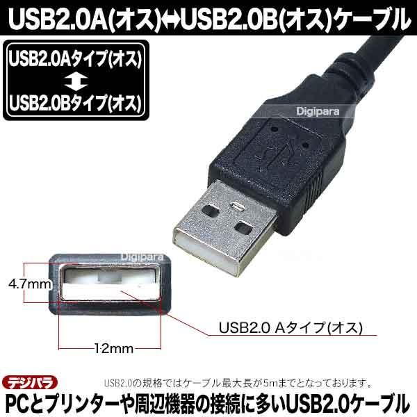 USBケーブル 5m USB2.0A (オス)-USB2.0B (オス)  プリンター ハードディスク 周辺機器接続 COMON 2AB-50｜tsuhan-express｜05