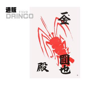 こーじ　2本 海老紙 えび紙 小23 (A4) 芳名2行 100枚セット : 通販ドリンコ - 通販