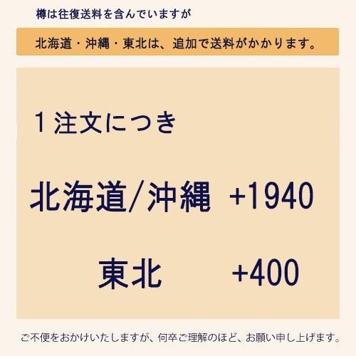 サントリー 角ハイボール ハイボール 角 10L 樽詰 1本 (往復送料込