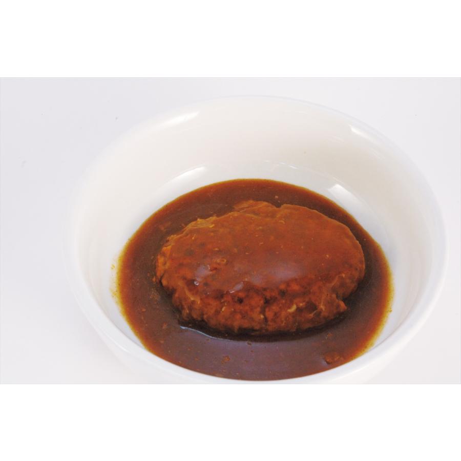 防災食 非常食 保存食 常温長期保存 UAA食品 美味しい防災食 ハンバーグ煮込み デミグラス 惣菜 おかず 災害備蓄 家庭用 業務用 100g×50食