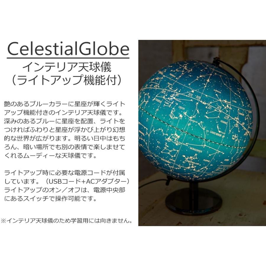 地球儀 英語表記タイプ 英字 ネイビーブルー 地球儀 英語表記タイプ 英字 ネイビーブルー