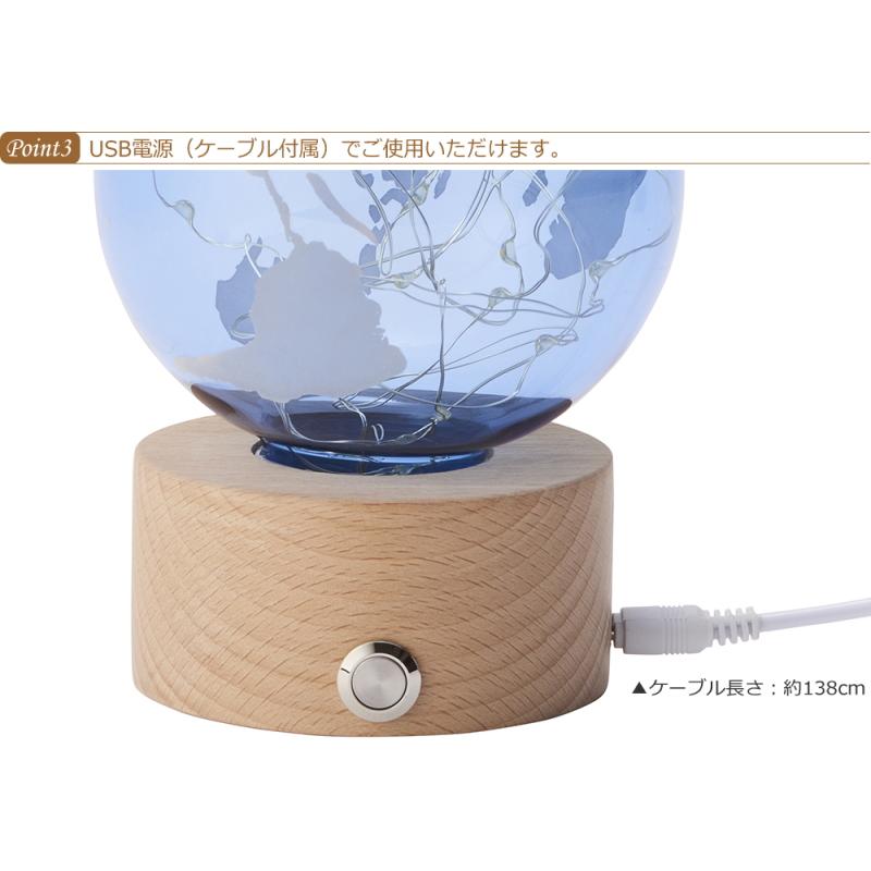 インテリア ライト 地球儀 LEDライト USB電源 おしゃれ 卓上 室内 置き
