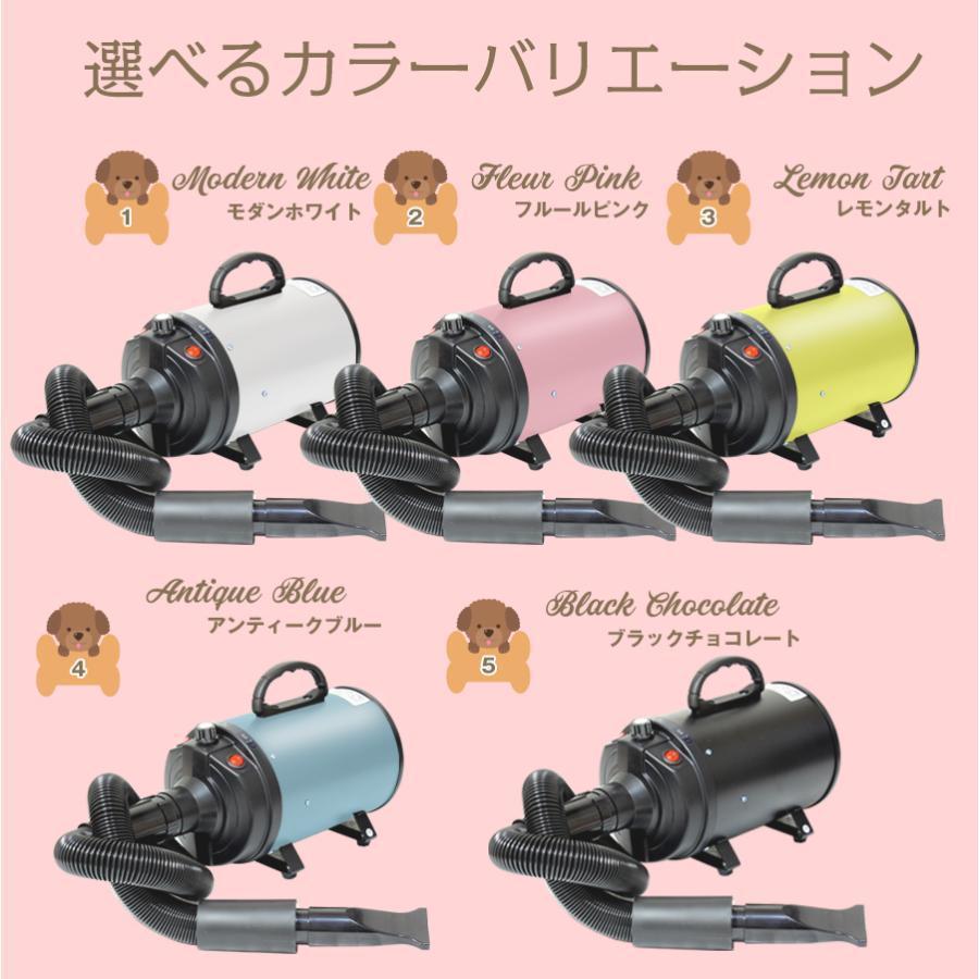 ペットドライヤー ペット用 業務用 犬 ペットヘアードライヤー 大型犬 ブロワー 無段階速度制御 送風機 3つノズル付き 強力 静か 静音 ペットドライヤー ペット用 業務用 犬 ペットヘアードライヤー 大型犬 ブロワー 無段階速度制御 送風機 3つノズル付き 強力 静か 静音