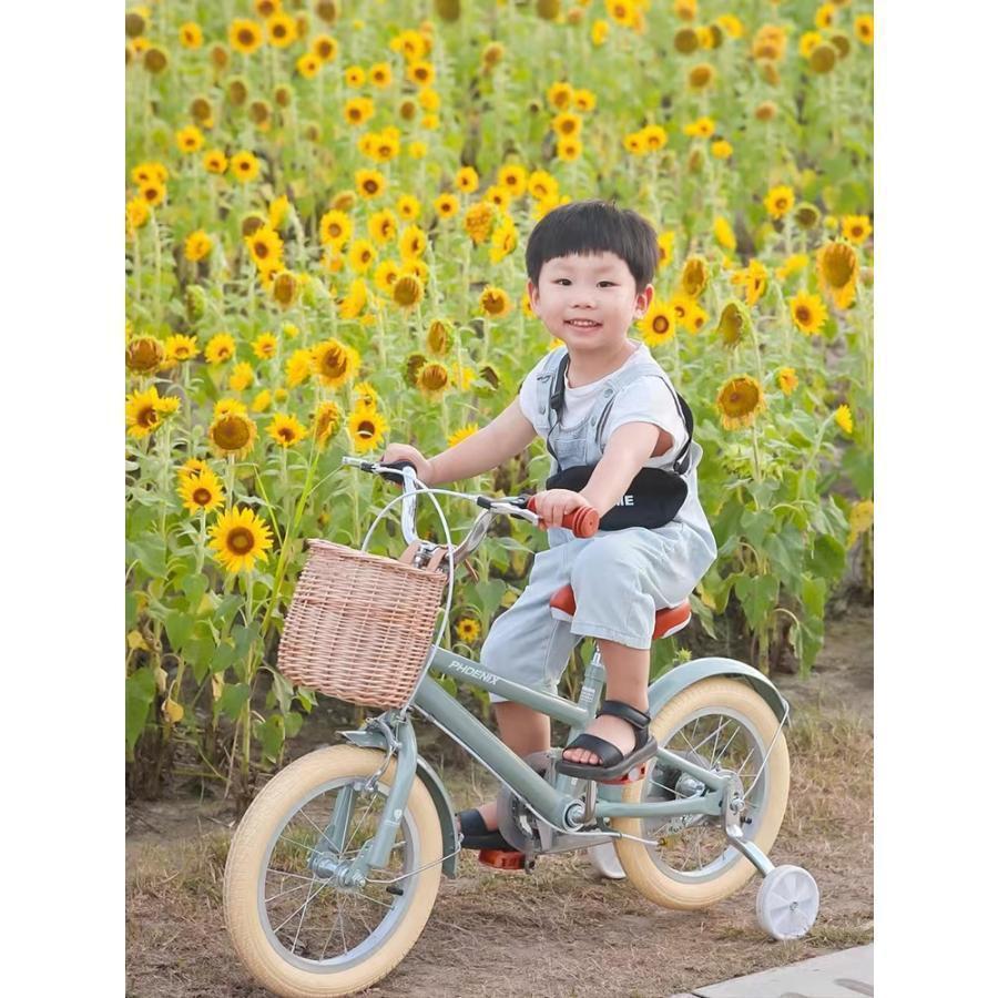 【超美品】 2023新品！ 子供の日プレゼント 自転車 子供用 12インチ 14インチ 16インチ 超軽量 補助輪付属 おしゃれインチ 男の子 女の子 【Y1619828865】(10160円)