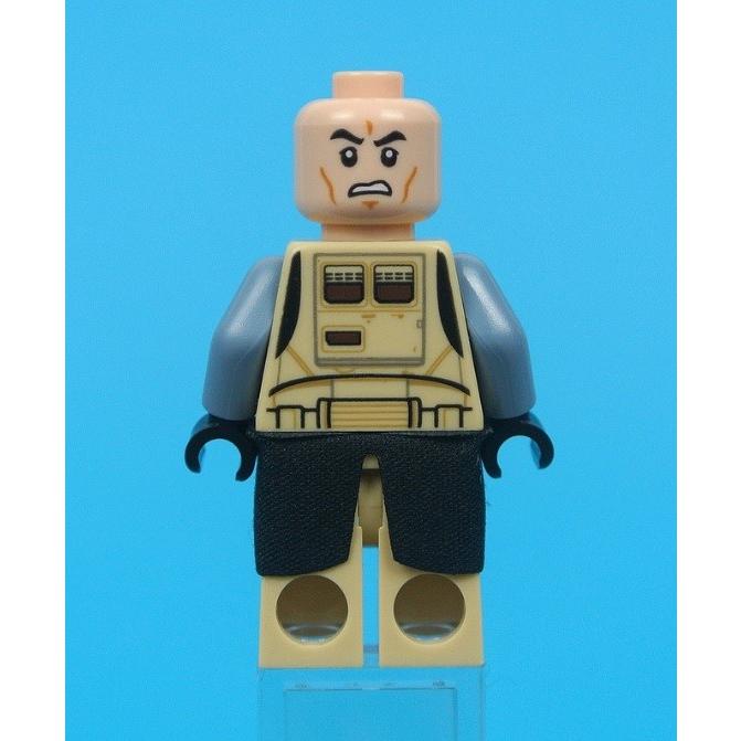 LEGO（レゴ） スターウォーズ スカリフ ストームトルーパー ミニ 