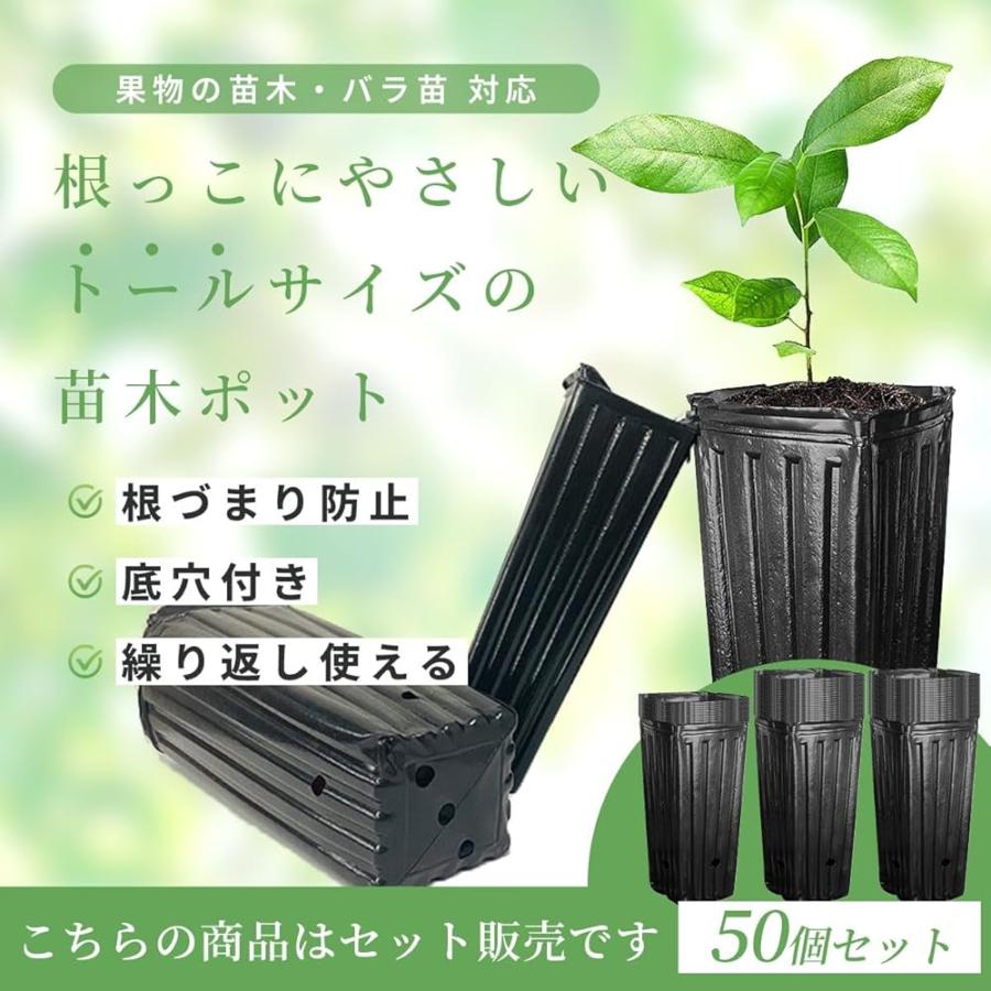 趣味の園芸、プランター、鉢、苗鉢、まとめてセット 趣味の園芸、プランター、鉢、苗鉢、まとめてセット