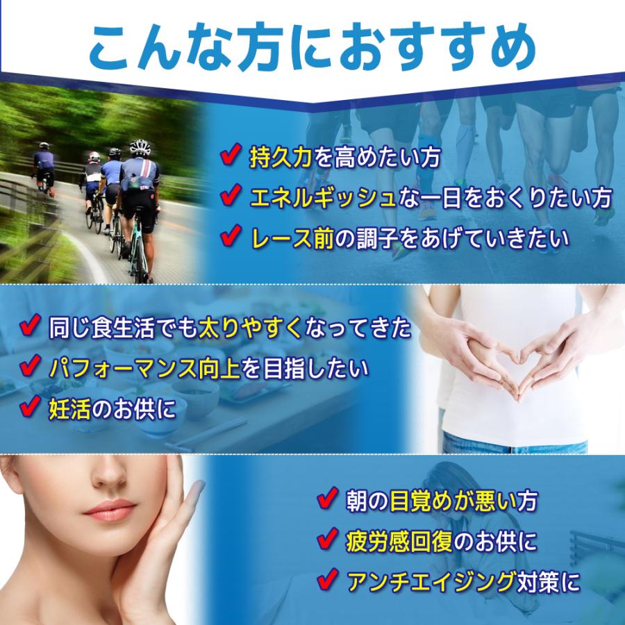 極上 ミトロング-V ヒフワンステムサプリ : つじトレーニングジム 
