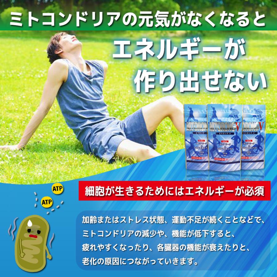 ミトコリン2箱☆品川美容外科購入エイジング施術後ケア 葉酸500μg未