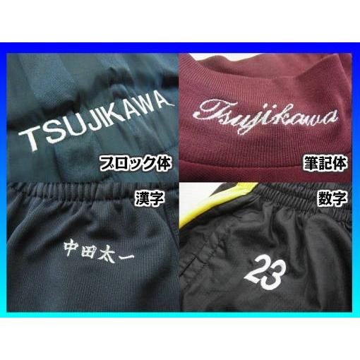 刺繍 名入れ ウェア 刺繍加工 1段 1箇所 標準 個人名 コートネーム 番号 ロゴ Shishu Wearname01 辻川スポーツ 通販 Yahoo ショッピング