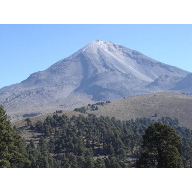 辻本珈琲 カフェインレススペシャルティコーヒー豆 / デカフェ メキシコ エル・トリウンフォ 1kg（200g&times;5袋）/ カフェインレス 自家焙煎 挽き方選べる