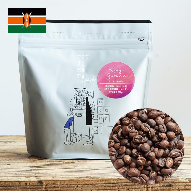 [コーヒー 生豆 ]特別3種合計10kgセット コーヒー生豆】コーヒー生豆3種類セット！ ※送料無料 【公式通販】