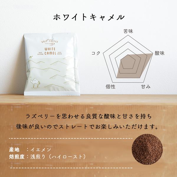 スペシャルティコーヒー豆 / ホワイトキャメル モカマタリ 1kg（200g×5袋）/ 自家焙煎 煎りたて新鮮コーヒー豆 | 辻本珈琲 | 01