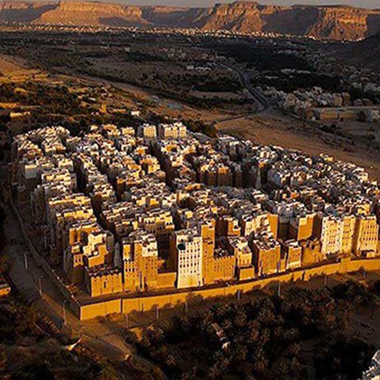 スペシャルティコーヒー豆 / ホワイトキャメル モカマタリ 1kg（200g×5袋）/ 自家焙煎 煎りたて新鮮コーヒー豆 | 辻本珈琲 | 03