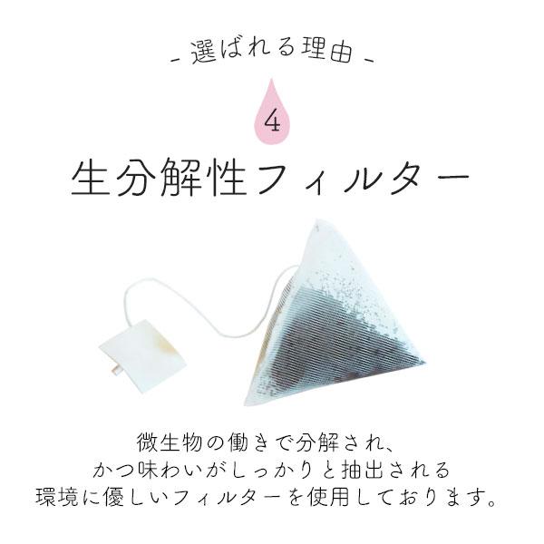 辻本珈琲（TSUJIMOTO coffee） デカフェ セイロンティー（2.5g×30袋