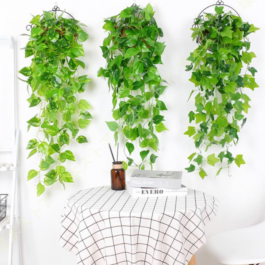 plantes retombantes -pélargonium-fleurs-rose-pastel