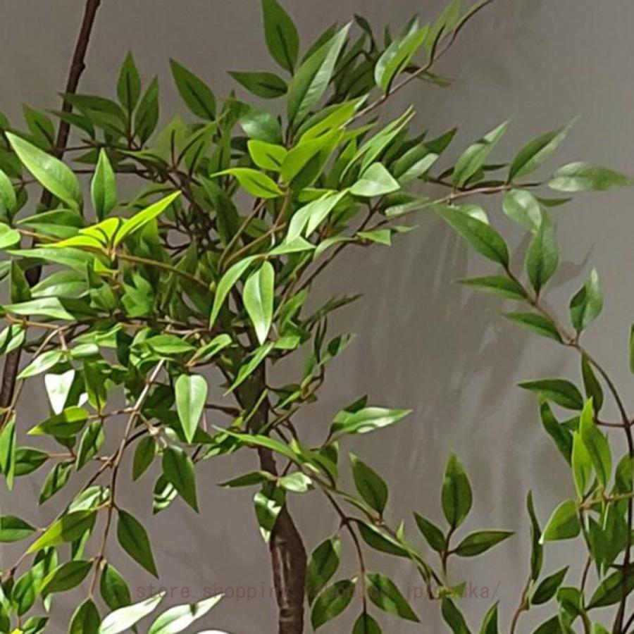 フェイクグリーン 南天竹 観葉樹 鉢植え 緑 可愛い インテリアグリーン リアル 本物そっくり 大型 観葉植物 人工竹 人工植物装飾 害虫駆除不要 北欧風 insの画像
