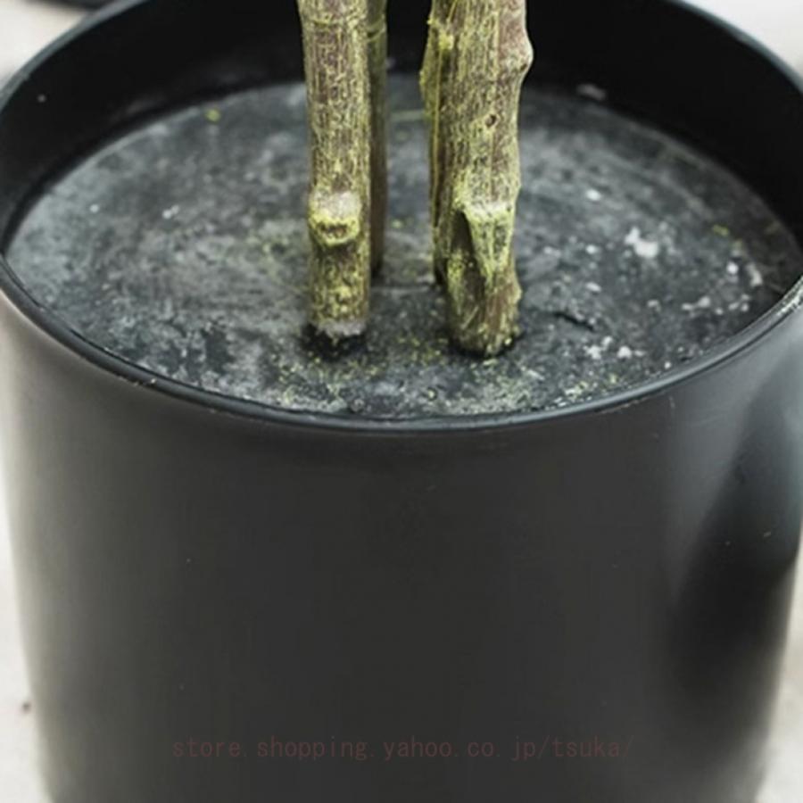観葉植物 フェイク ピンク 人工観葉植物 観葉樹 大型 さくら グリーン