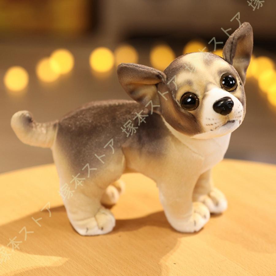 ぬいぐるみ 犬 マルチーズ 犬ぬいぐるみ ファーストトイ 動物 アニマル