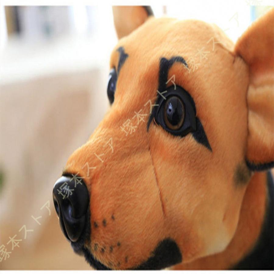 犬のぬいぐるみ 本体30cm Amazon.co.jp: Carl Dick ホワイトシェパードドッグアンドリード