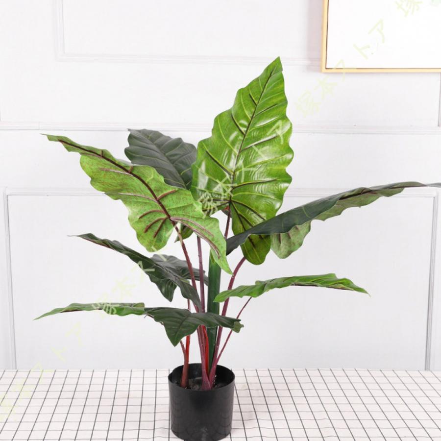 クワズイモ 観葉植物 人工 フェイクグリーン リビング 室内 オフィス 一人暮らし 緑 鉢植え インテリアグリーン 新生活 おしゃれ モダン 北欧 防汚 造花 観葉