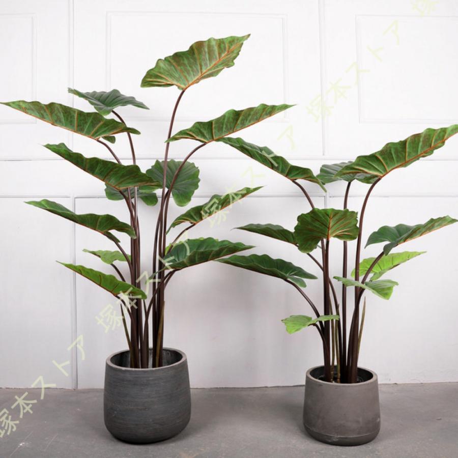 クワズイモ 観葉植物 人工 フェイクグリーン リビング 室内 オフィス 一人暮らし 緑 鉢植え インテリアグリーン 新生活 おしゃれ モダン 北欧 防汚 造花 観葉