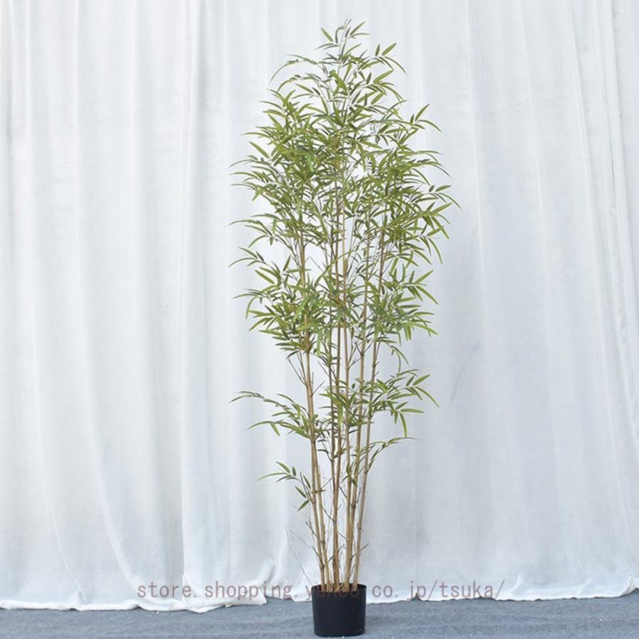 イオニアバンブー 観葉植物 フェイクグリーン イオニアバンブー 観葉植物 フェイクグリーン 【公式通販】