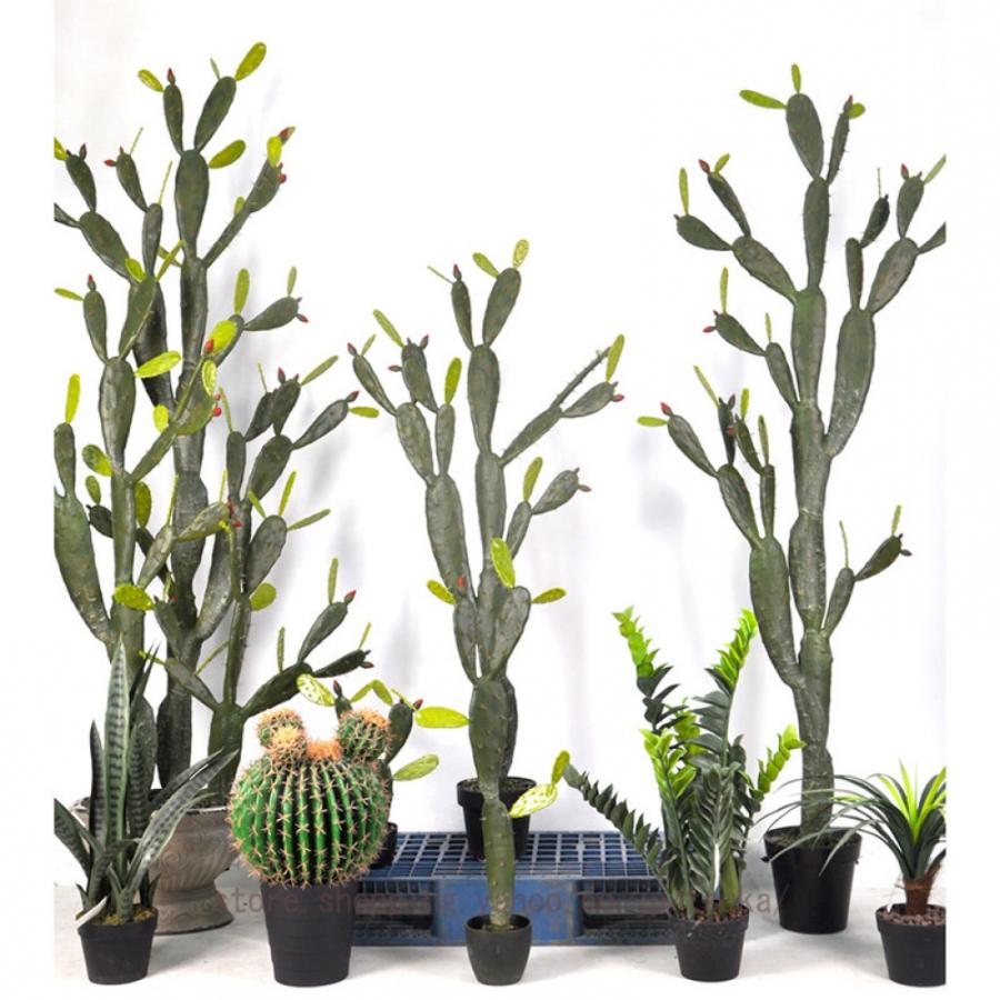 鉢植え 仙人掌 サボテン 観葉樹 フェイクグリーン 多肉植物 風水 開運